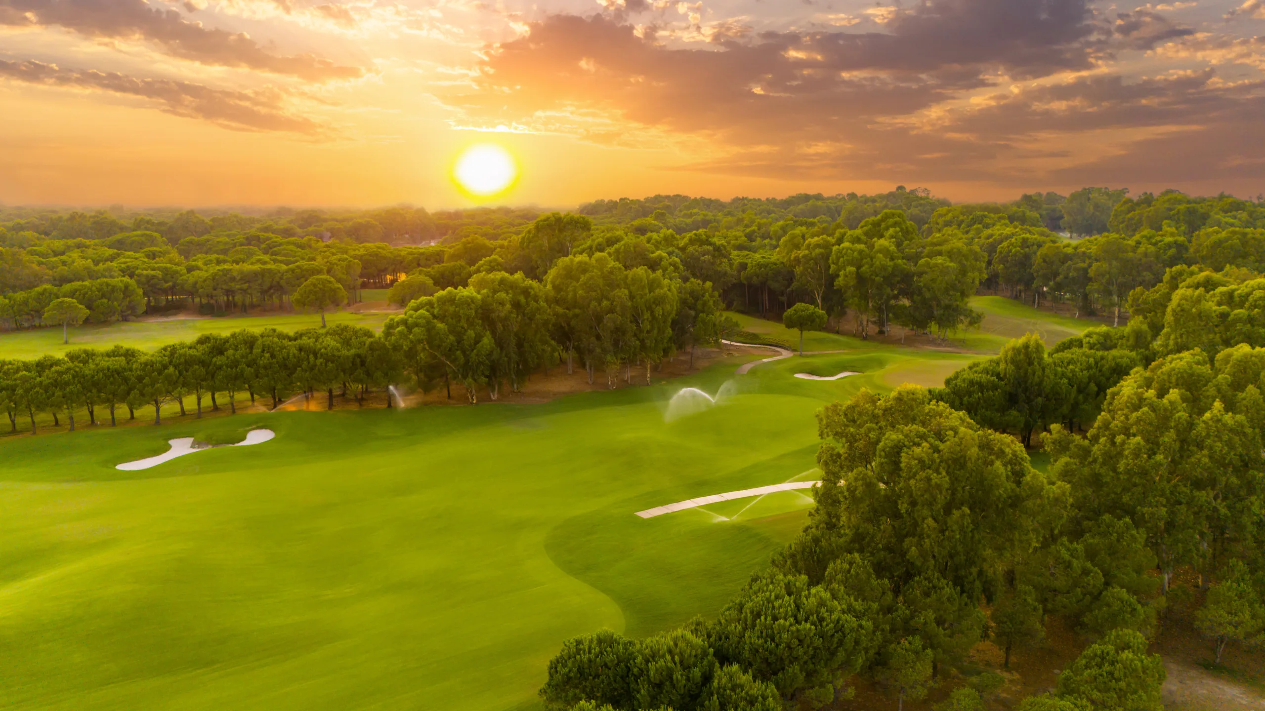 Turf and Ornamental Header Image