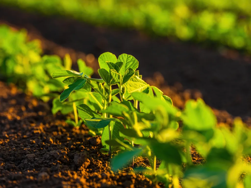 Redefining Crop Performance
